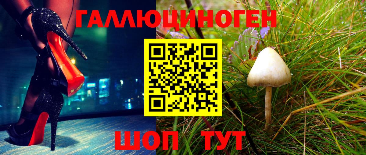 Галлюциногенные грибы мицелий  Галлюциногенные грибы Cubensis  Малгобек  хочу наркоту  Вход с VPN 