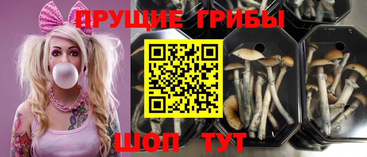 Псилоцибиновые грибы мухоморы Малгобек